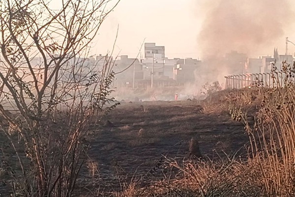 Polícia é acionada e tenta encontrar jovem que causou incêndio florestal de grandes proporções no bairro Planalto