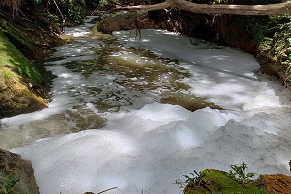Córrego nos fundos do bairro Guanabara é tomado por esgoto e fica coberto de espuma