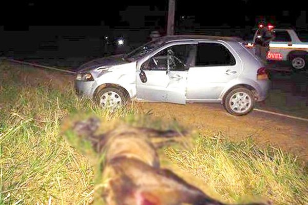 Carroceiros ficam feridos em acidente com automóvel na BR 354 próximo a cidade de Carmo do Paranaíba