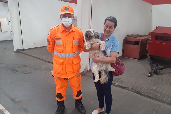 Cão resgatado de bueiro pelos bombeiros é reconhecido pelos donos após publicação e volta para o lar