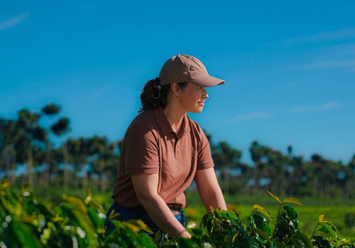 14º Prêmio Café do Cerrado terá nova modalidade para valorizar práticas regenerativas na cafeicultura