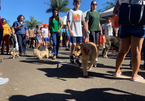 Cãominhada reúne famílias, pets e solidariedade na Orla da Lagoa Grande em Patos de Minas