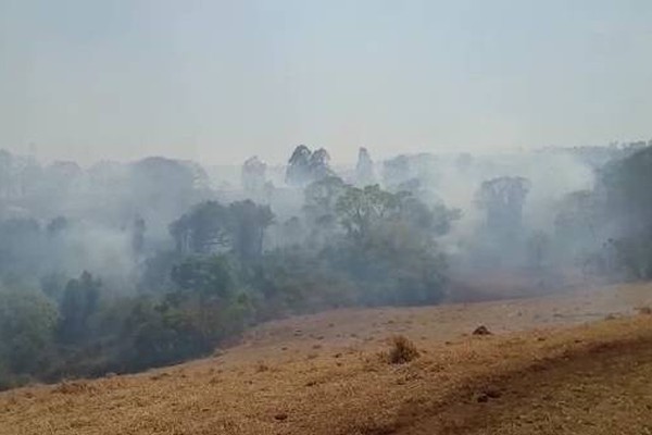 Incêndio de grandes proporções destrói plantações, mata animais e moradores cobram providências em Patos de Minas