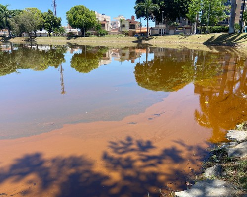 O que é a mancha escura que tem preocupado frequentadores da Orla da Lagoa Grande?