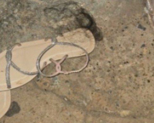 Jovem de 20 anos é presa em Patos de Minas após agredir mulher com paralisia cerebral