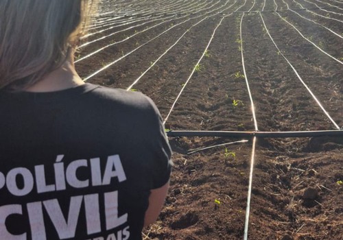 Polícia Civil descobre estrutura avançada de plantio de maconha em Unaí