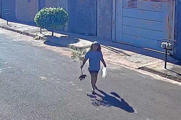 Vídeo mostra mulher arrancando e levando planta de calçada e causa a revolta de moradores