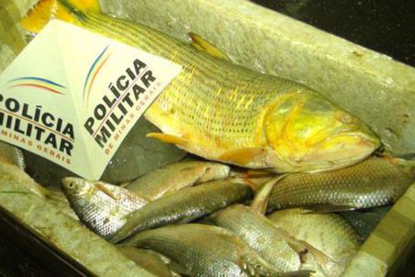 PM de Meio Ambiente surpreende pescadores com caixa cheia no Rio da Prata