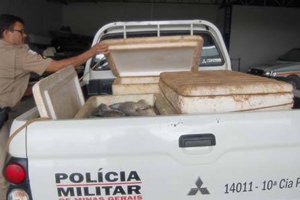 Polícia Ambiental apreende mais de 100 kg de peixes em casa no Bairro Várzea