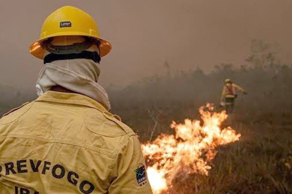 Focos de incêndio no Amazonas diminuem após ação de força-tarefa