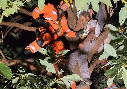 Bombeiros resgatam senhor que subiu em goiabeira e não conseguiu descer em Patos de Minas