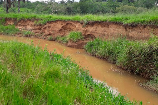 CODEVASF vai investir mais de meio milhão em proteção ambiental no Córrego Bom Sucesso
