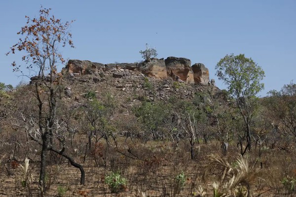 Pesquisa com IA identifica terras agrícolas abandonadas no Cerrado