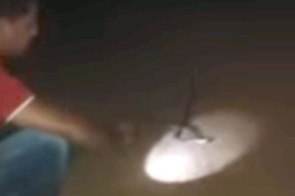 Vídeo mostra rapaz sendo picado ao brincar com Cascavel em Carmo do Paranaíba