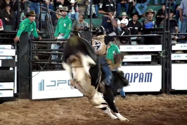 Peão fica duro em cima do touro e faz coraçãozinho para o público da Fenamilho; veja ao vivo