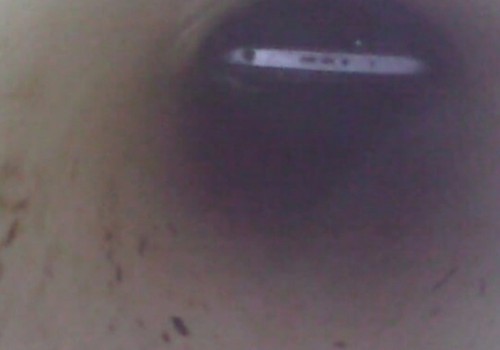 Casal que gerenciava tráfico é preso após PM encontrar esconderijo de drogas na rede do vaso sanitário em Patos de Minas