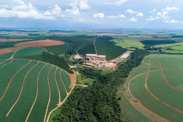 Sebrae Minas promove maratona para criação de soluções inovadoras no bioma Cerrado