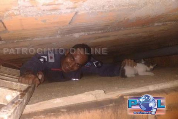 Bombeiro se arrisca em estreita e profunda fenda entre paredes para resgatar gato de estimação
