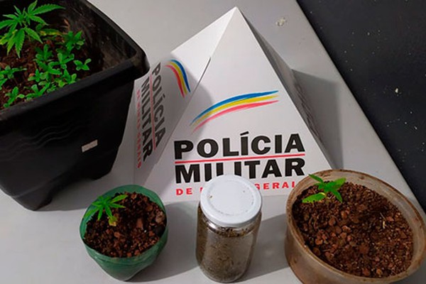 PM vai atender ocorrência de agressão e prende casal cultivando maconha em Patos de Minas