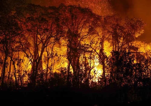 PF investiga incêndios criminosos no Pantanal