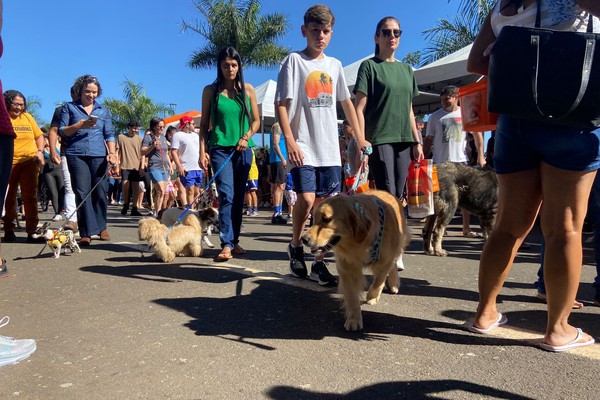 Cãominhada reúne famílias, pets e solidariedade na Orla da Lagoa Grande em Patos de Minas