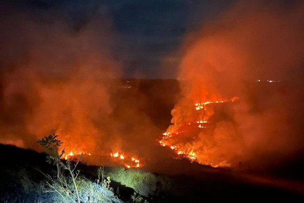 Bombeiros combatem incêndio que queimou 45 hectares na região de Santana de Patos