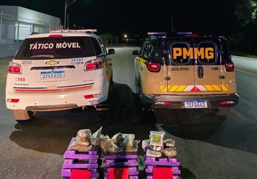 Perseguição na BR 146 acaba em choque em árvore, prisão de dupla e apreensão de carga de drogas