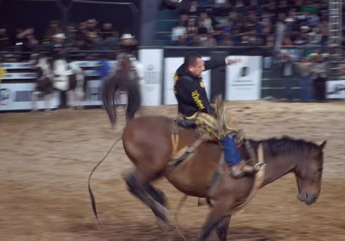 Peão se segura no lombo do cavalo e comemora com estrelinha no Rodeio Fenamilho 2026; veja ao vivo