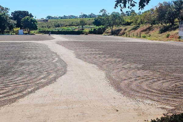 Café do Cerrado conquista o mercado internacional e exportações já chegam a 50 países