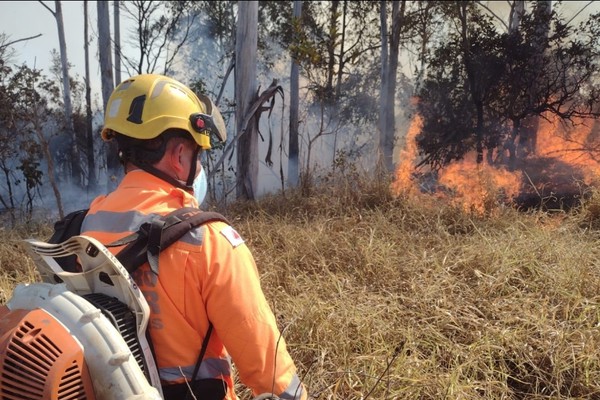 Corpo de Bombeiros combate múltiplos focos de incêndio florestal na região de Patos de Minas