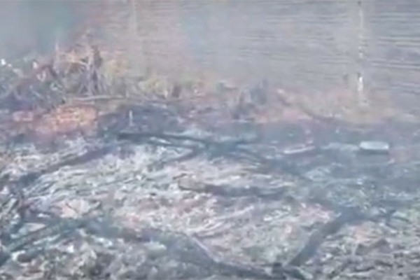 Homem é flagrado por moradores ateando fogo em lote vago em Patos de Minas