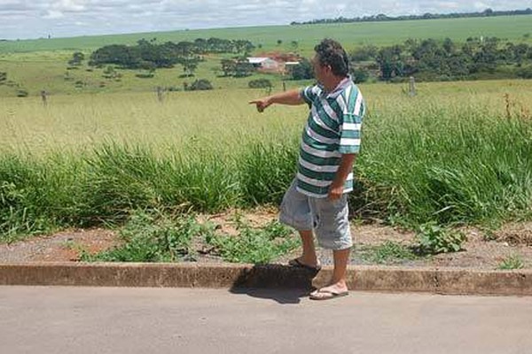 Bichos invadem casas no Alto Limoeiro e moradores reclamam de lotes sujos e mato