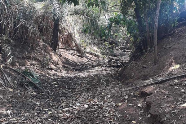 Córrego seca e deixa moradores e animais sem água até para beber, em Patos de Minas