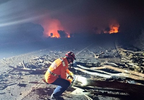 Queimada às margens da BR 146 provoca queda de árvore e dá trabalho aos bombeiros