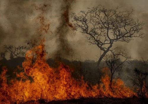 Crise climática é amplificadora de outras crises, alerta pesquisadora