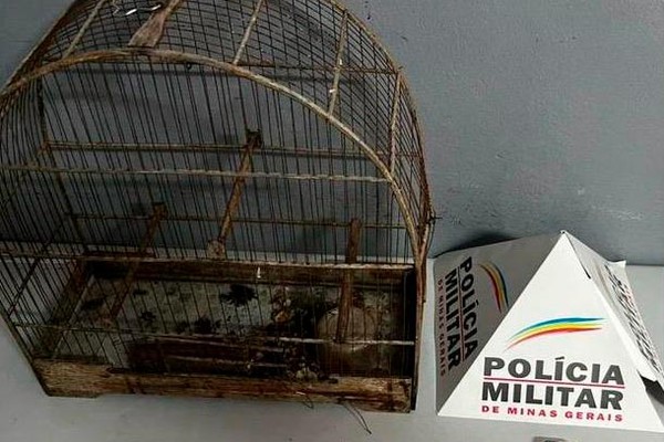 Morador encontra vazamento de água e descobre que cavalete e hidrômetro haviam sido furtados