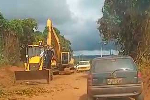 Homens e máquinas começam a remover árvores na estrada de Alagoas e motoristas devem ter cuidado