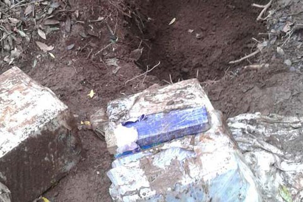 Polícia Militar volta a fazenda de traficantes e apreende mais 58kg de maconha