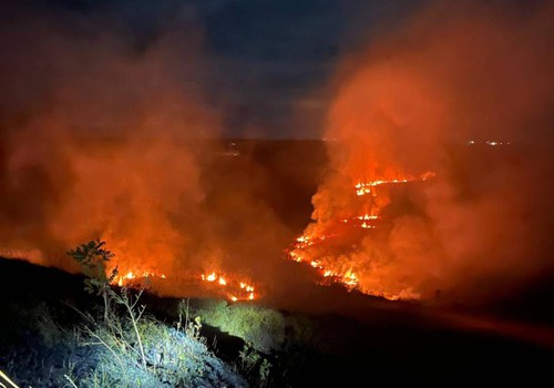 Bombeiros combatem incêndio que queimou 45 hectares na região de Santana de Patos