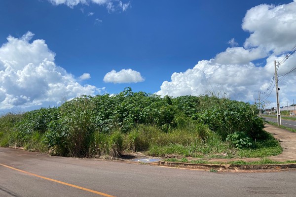 Morador denuncia mato alto e aparecimento de animais peçonhentos em loteamento de Patos de Minas