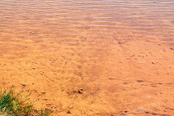 Copasa continua jogando água suja na Lagoa Grande e danos ao Cartão Postal já são visíveis