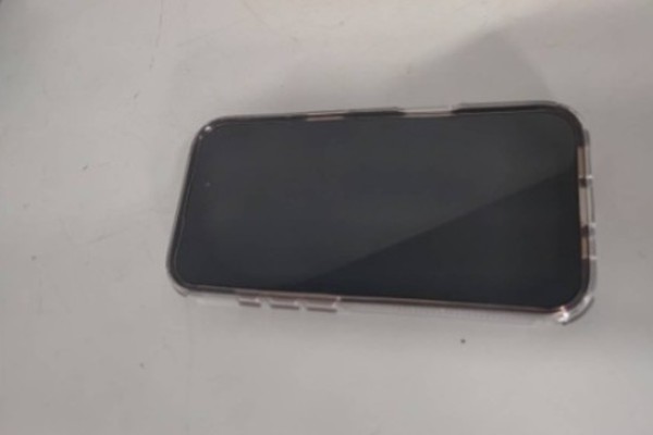 Paciente é preso após furtar IPhone 16 em unidade de saúde e esconder aparelho em árvore