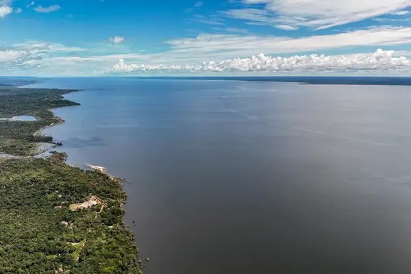 Amazônia tem mais de 2,7 mil espécies de peixes, aponta estudo