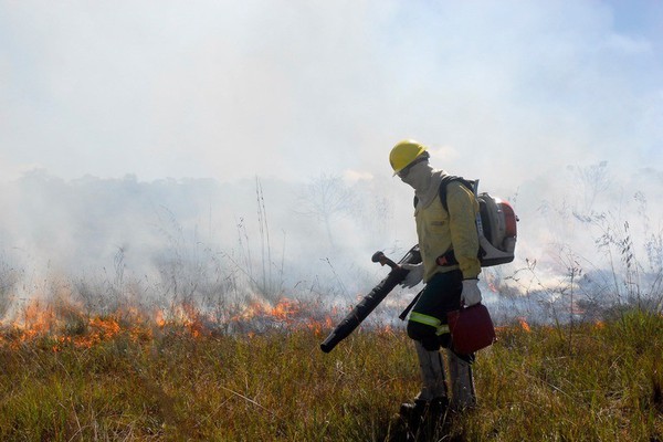 PM, Bombeiros, Defesa Civil e Sisema intensificam ações para coibir incêndios criminosos