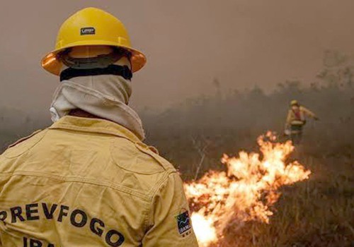 Focos de incêndio no Amazonas diminuem após ação de força-tarefa