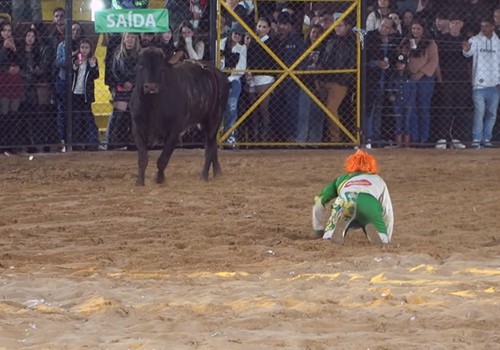 Palhaço encara touro, faz piruetas e diverte a plateia no Rodeio Fenamilho 2026