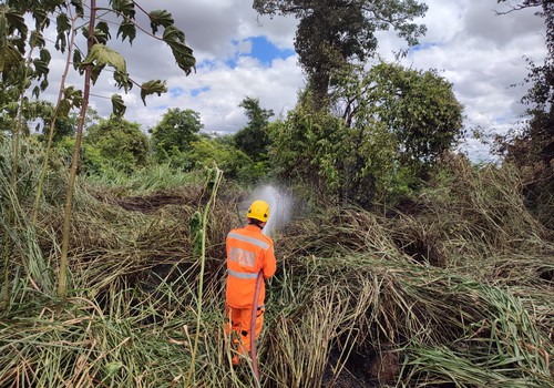 Incêndio queima cerca de 1000 m² no Parque da Mata do Catingueiro