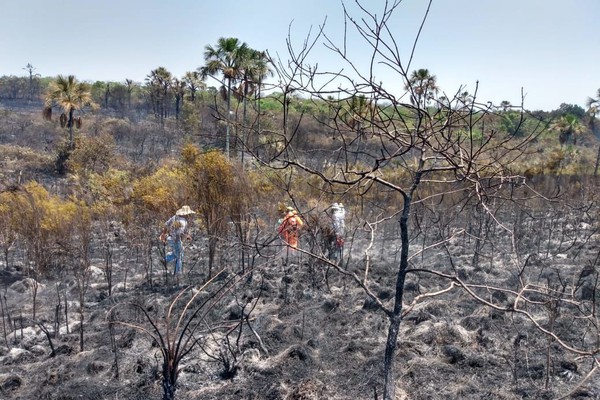 Incêndios queimam mais de 1700 hectares em setembro e bombeiros alertam para ameaças críticas
