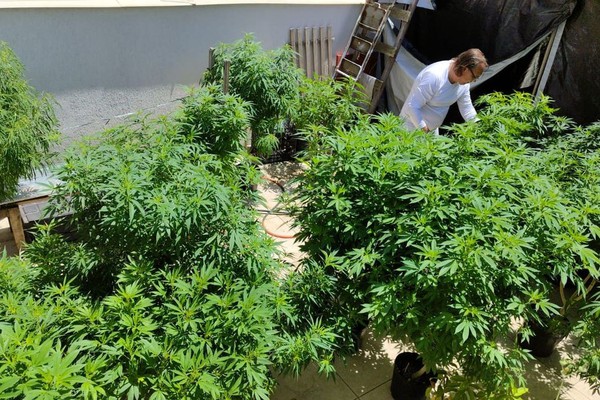 Feira em Fortaleza defende políticas sobre drogas com justiça social
