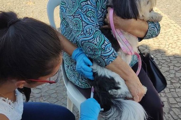 Último mutirão de vacinação antirrábica acontece neste sábado em Patos de Minas; veja os locais